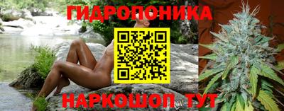 стаф Аргун