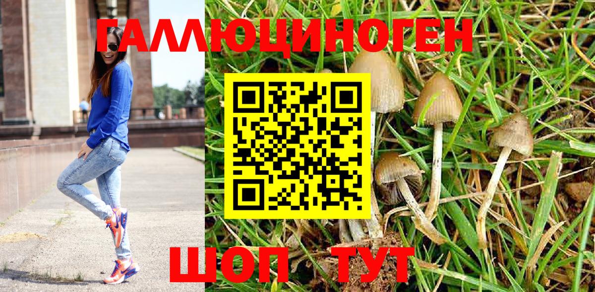 Великий Устюг  Псилоцибиновые грибы Psilocybe  Вход с VPN  Псилоцибиновые грибы MAGIC MUSHROOMS 